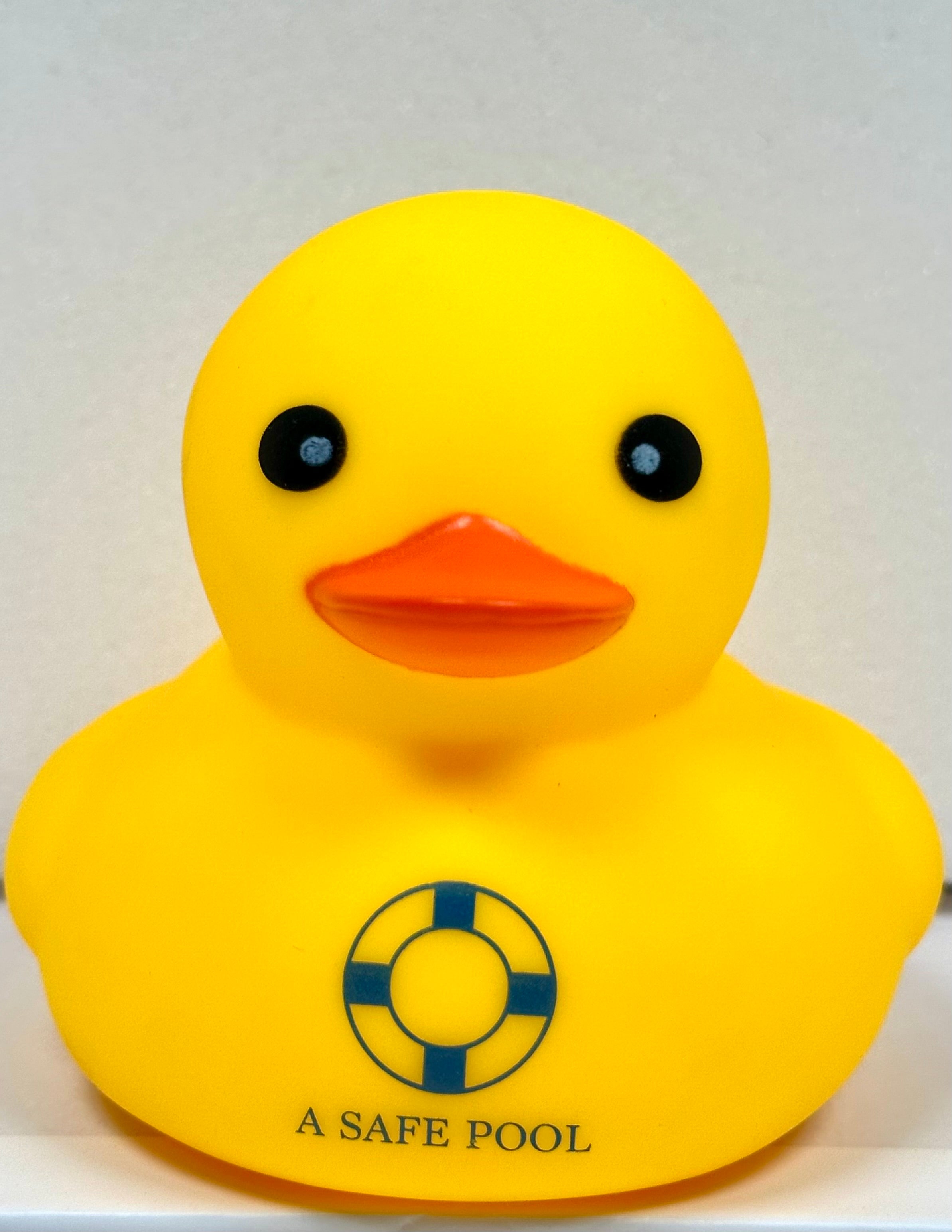 Rubber Duck Box of 144