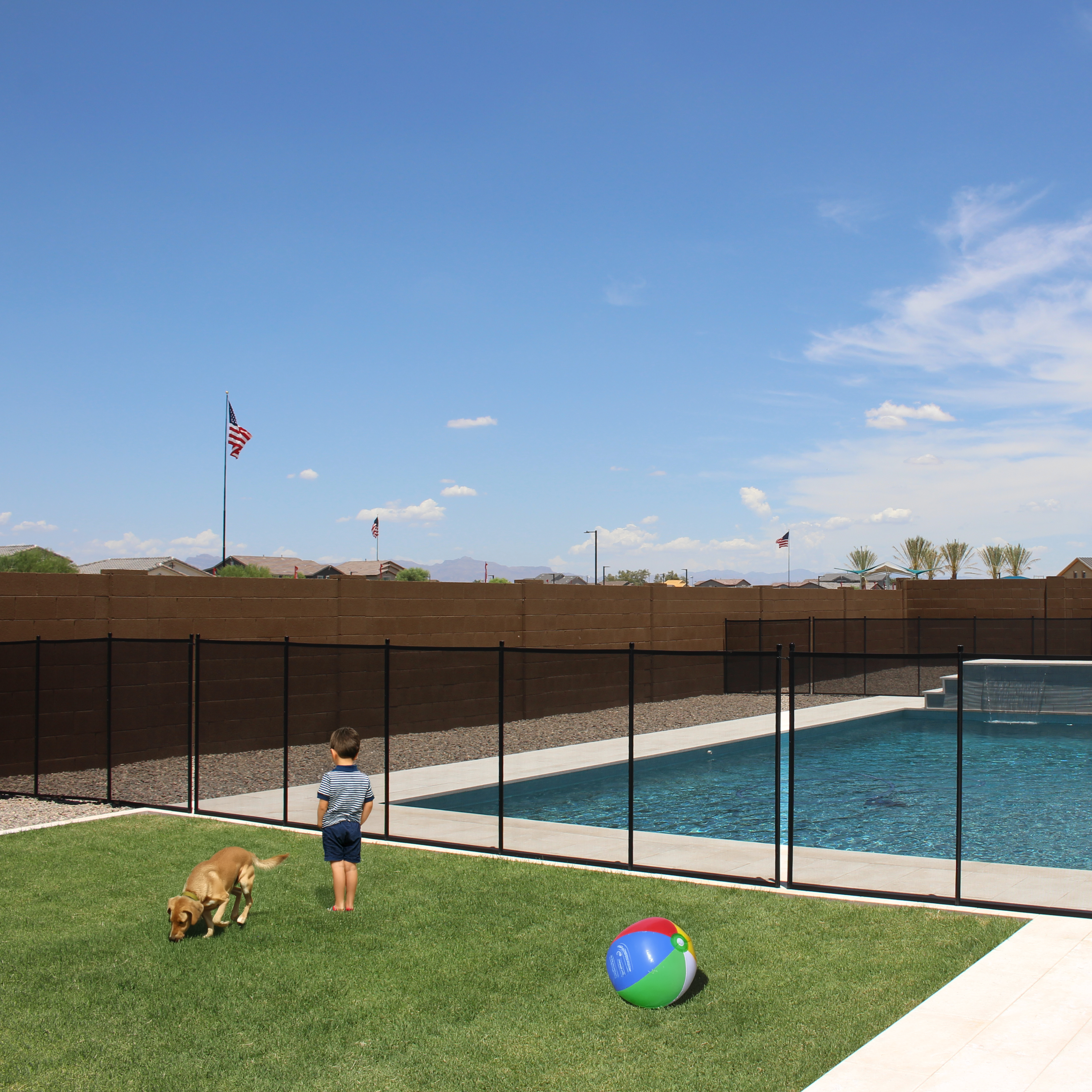 kids and dogs near pool fence